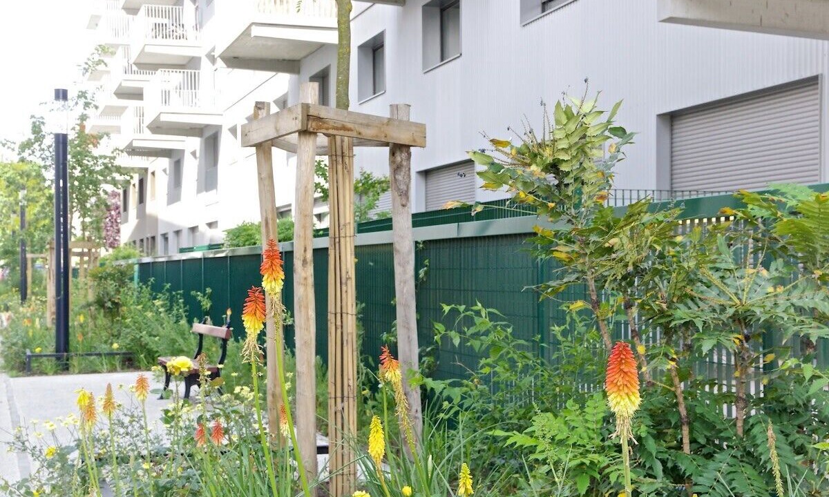 Photo of Outdoor in Bassins a Flot