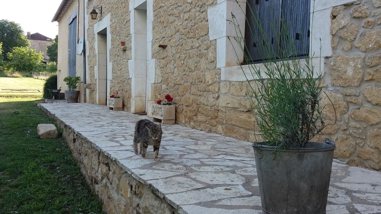 Photo of Outdoor in Castillon - Pujols Intercommunalite