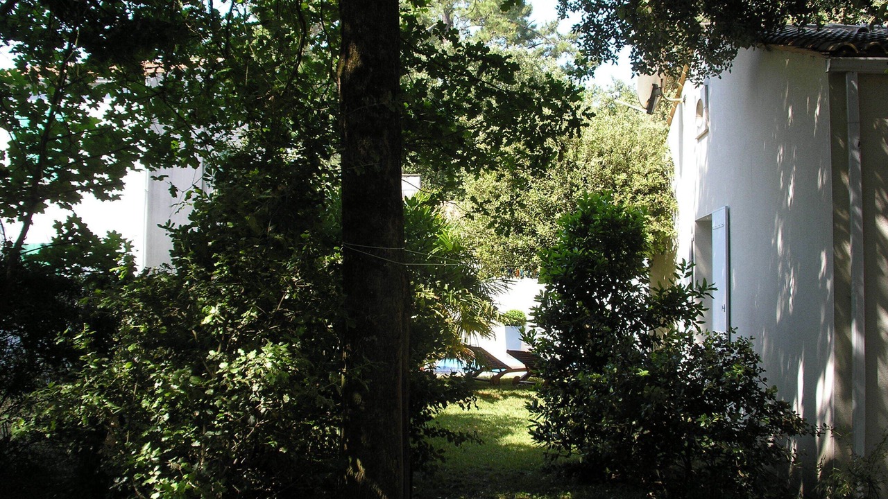 Photo of Outdoor in Dolus-d'Oleron