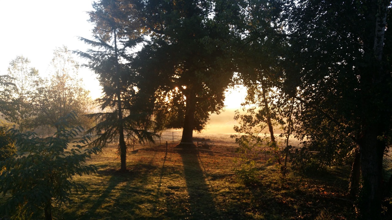 Photo of Outdoor in Ginestet