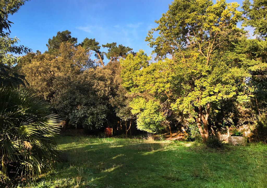 Photo of Outdoor in Le Grand-Village-Plage