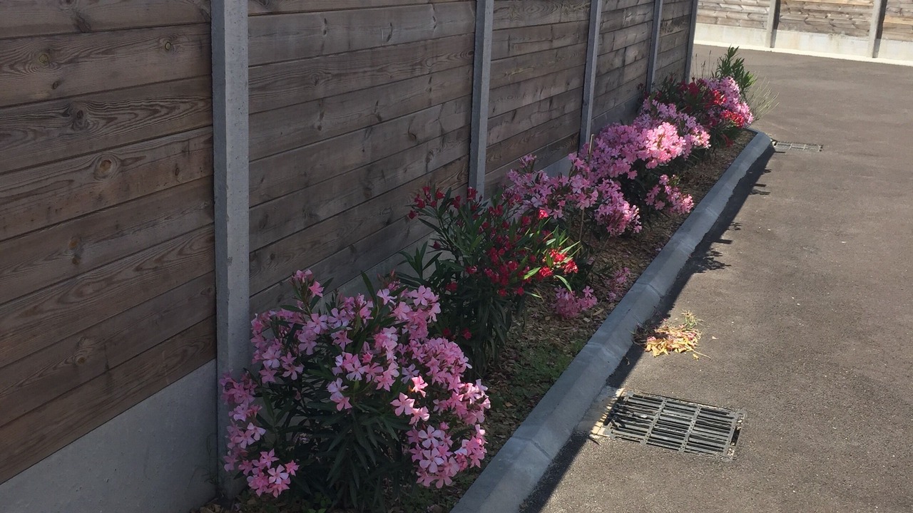 Photo of Outdoor in Andernos-les-Bains