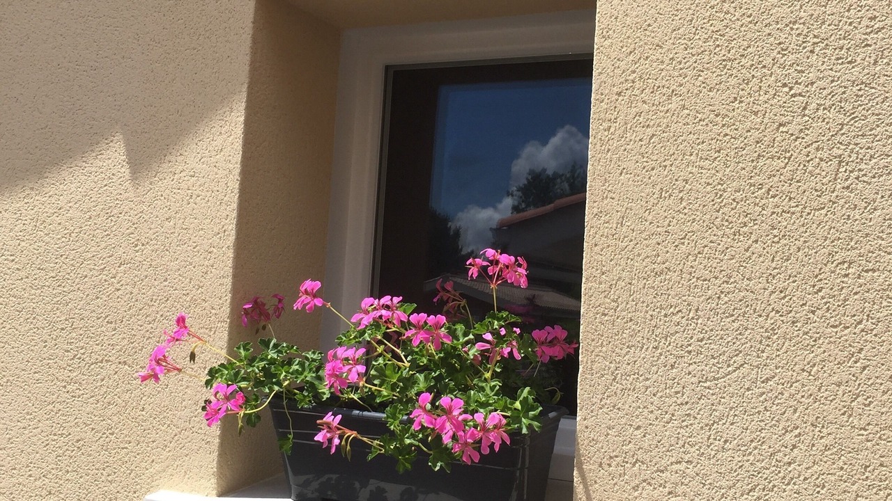 Photo of Outdoor in Andernos-les-Bains