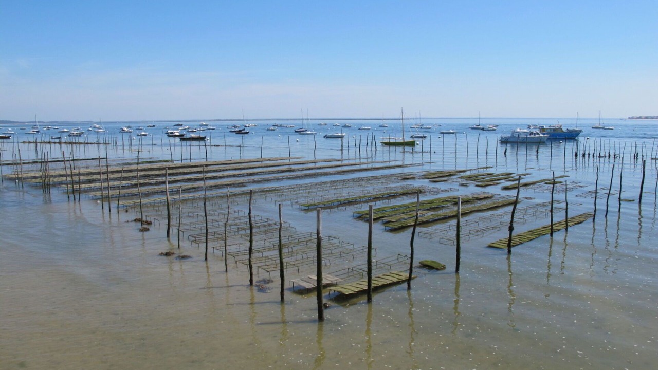 Photo of Outdoor in Cap-Ferret
