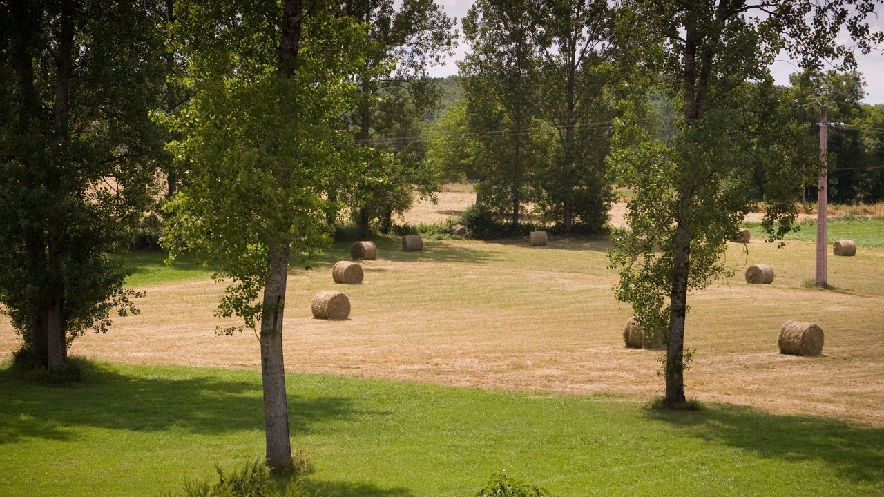 Photo of Outdoor in Gabillou