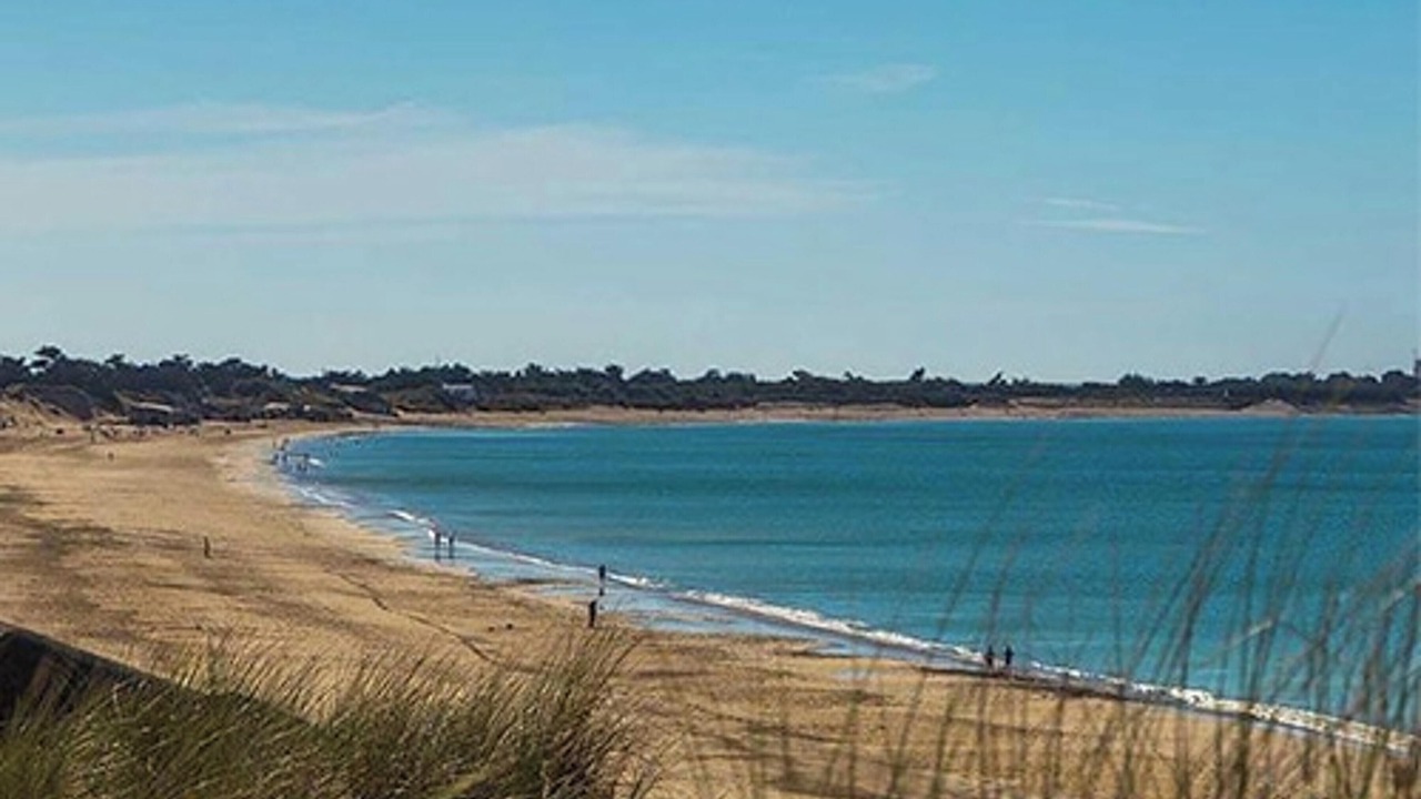 Photo of Others in La Couarde-sur-Mer
