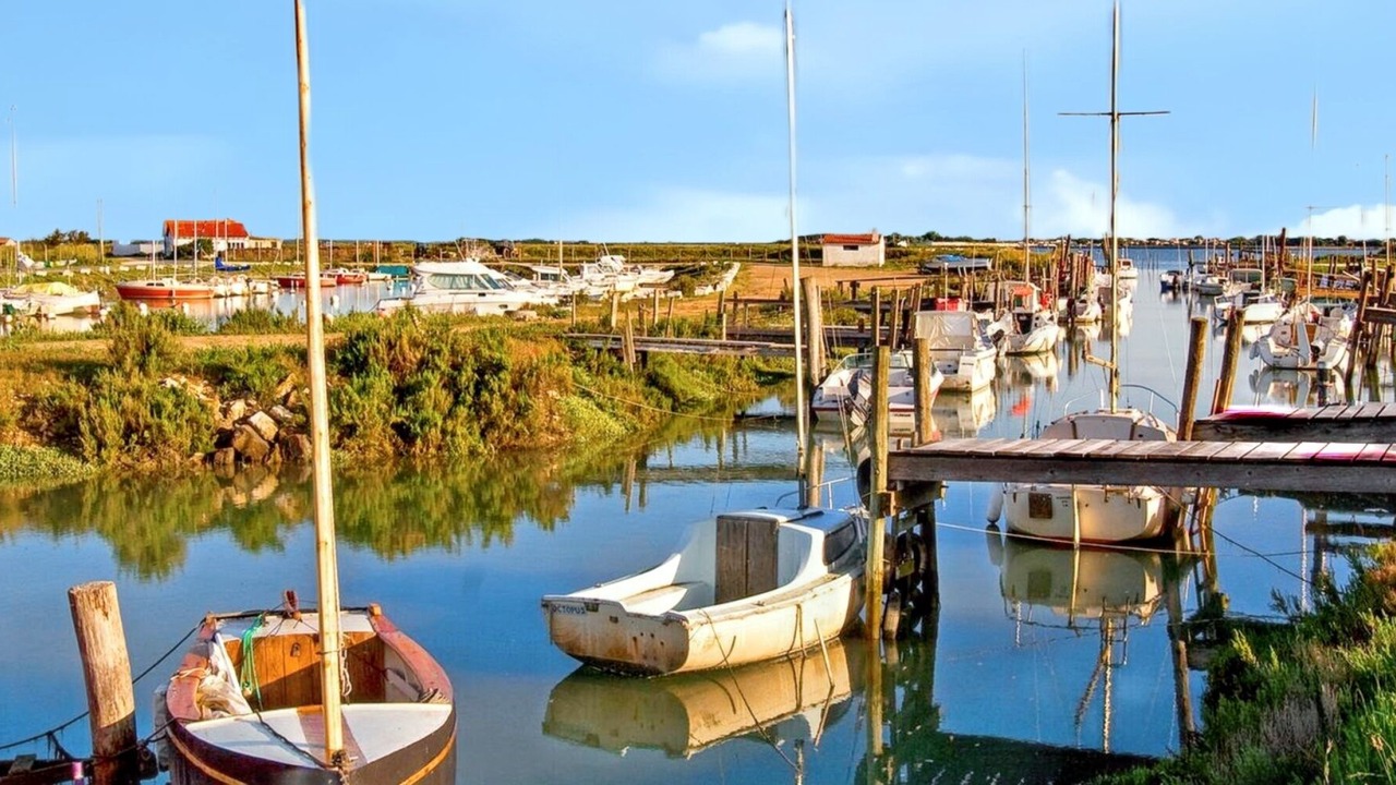 Photo of Others in La Couarde-sur-Mer