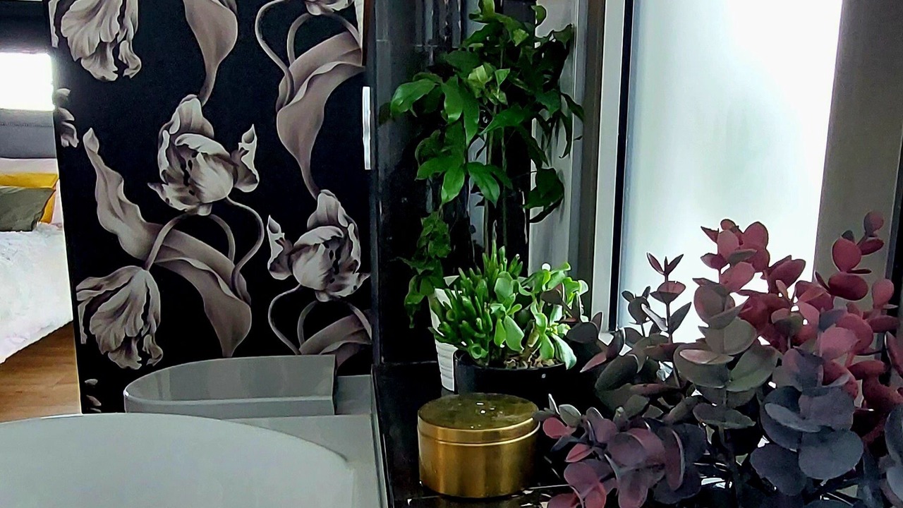 Photo of Bathroom in Bayonne