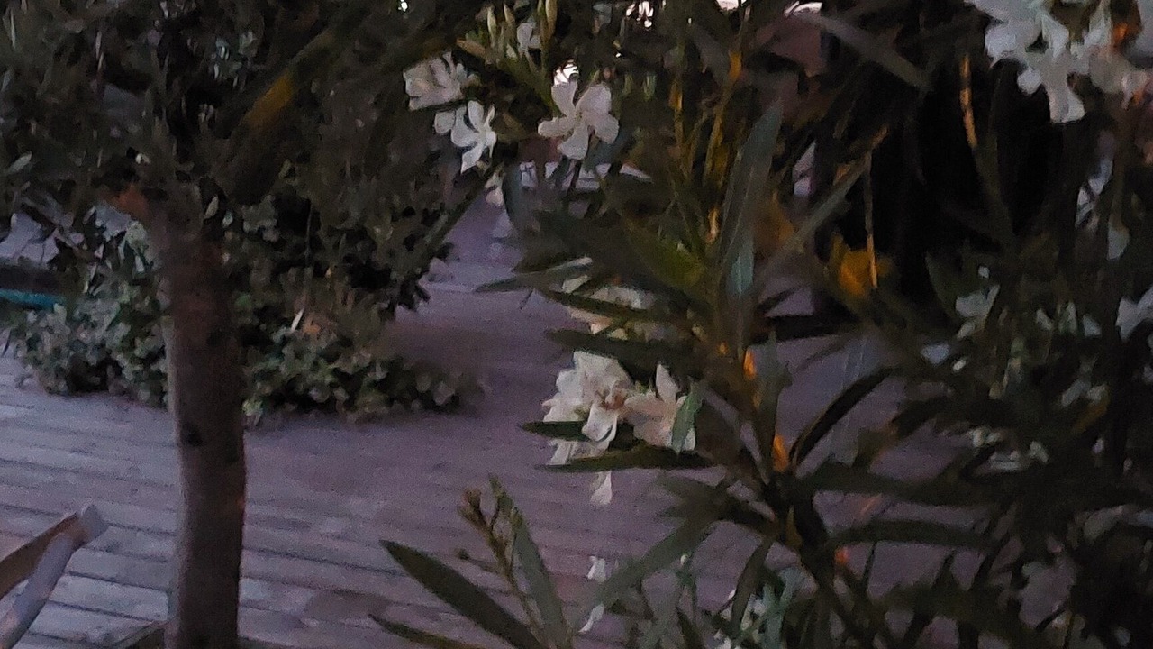 Photo of Outdoor in Bayonne