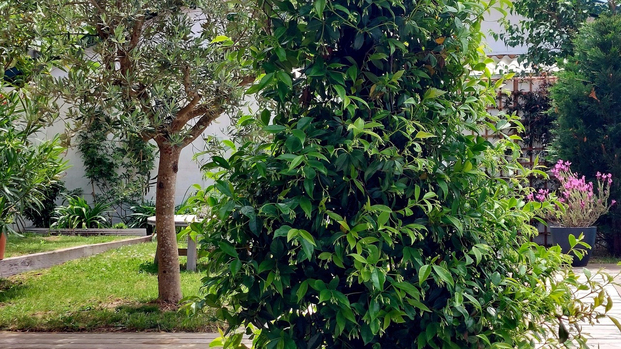 Photo of Outdoor in Bayonne