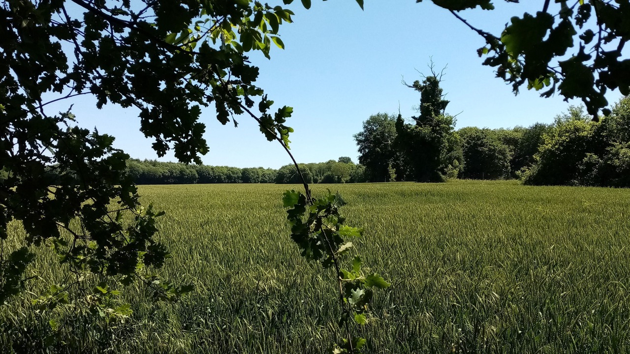 Photo of Others in Vaux