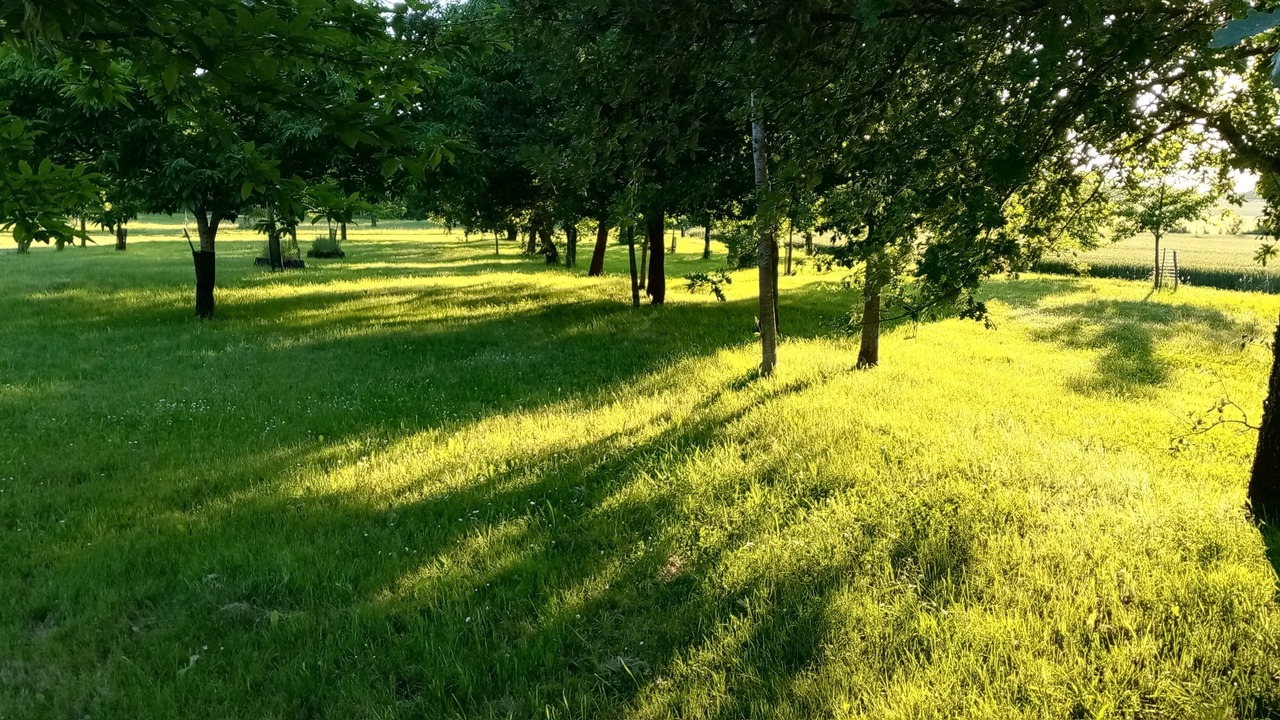 Photo of Others in Vaux