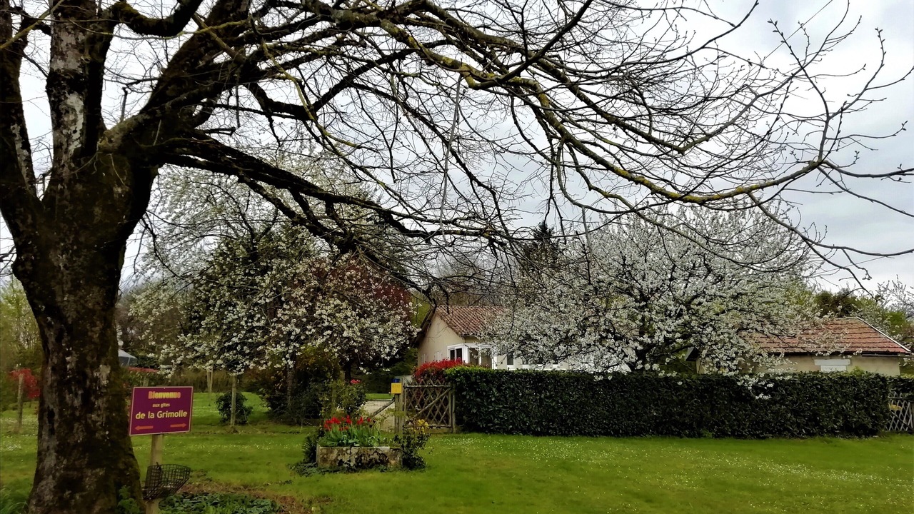 Photo of Outdoor in Vaux