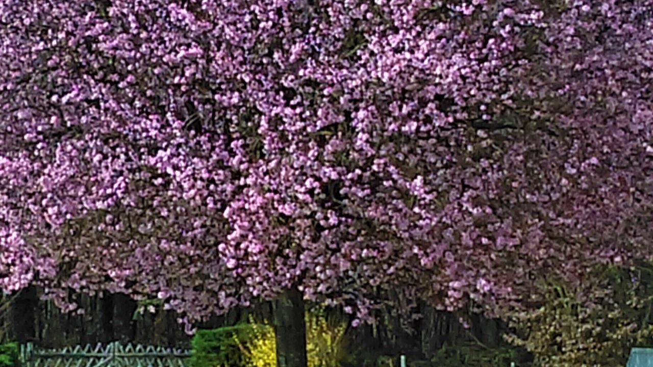Photo of Outdoor in Vaux