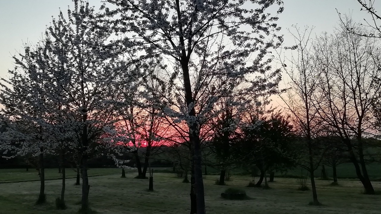 Photo of Outdoor in Vaux