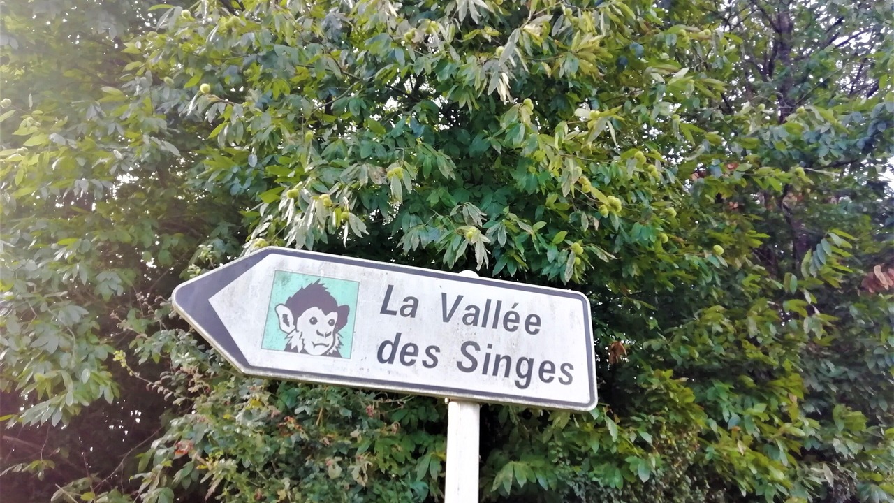 Photo of Outdoor in Vaux