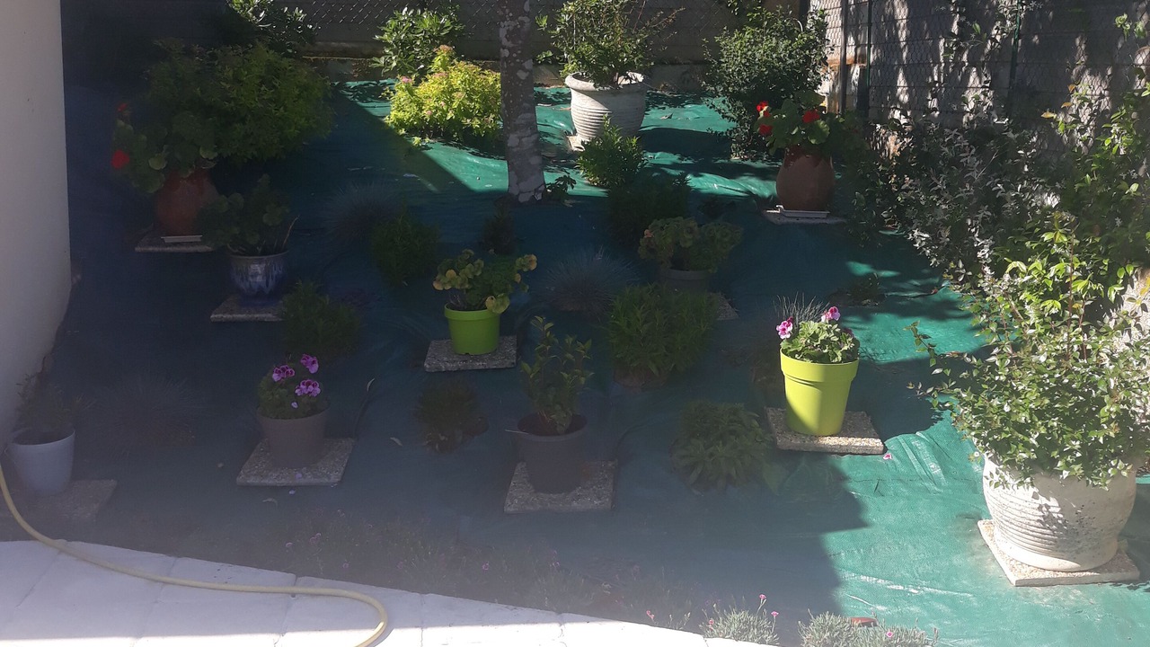Photo of Outdoor in Cosnac