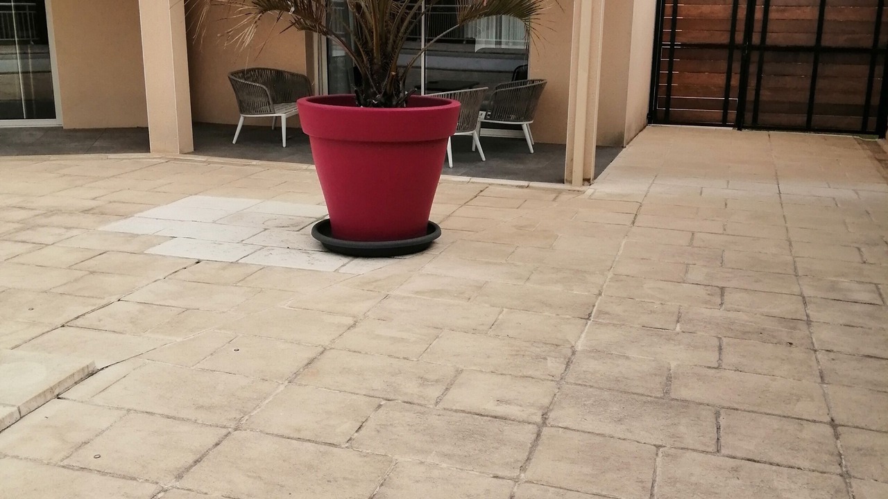 Photo of Outdoor in Cosnac