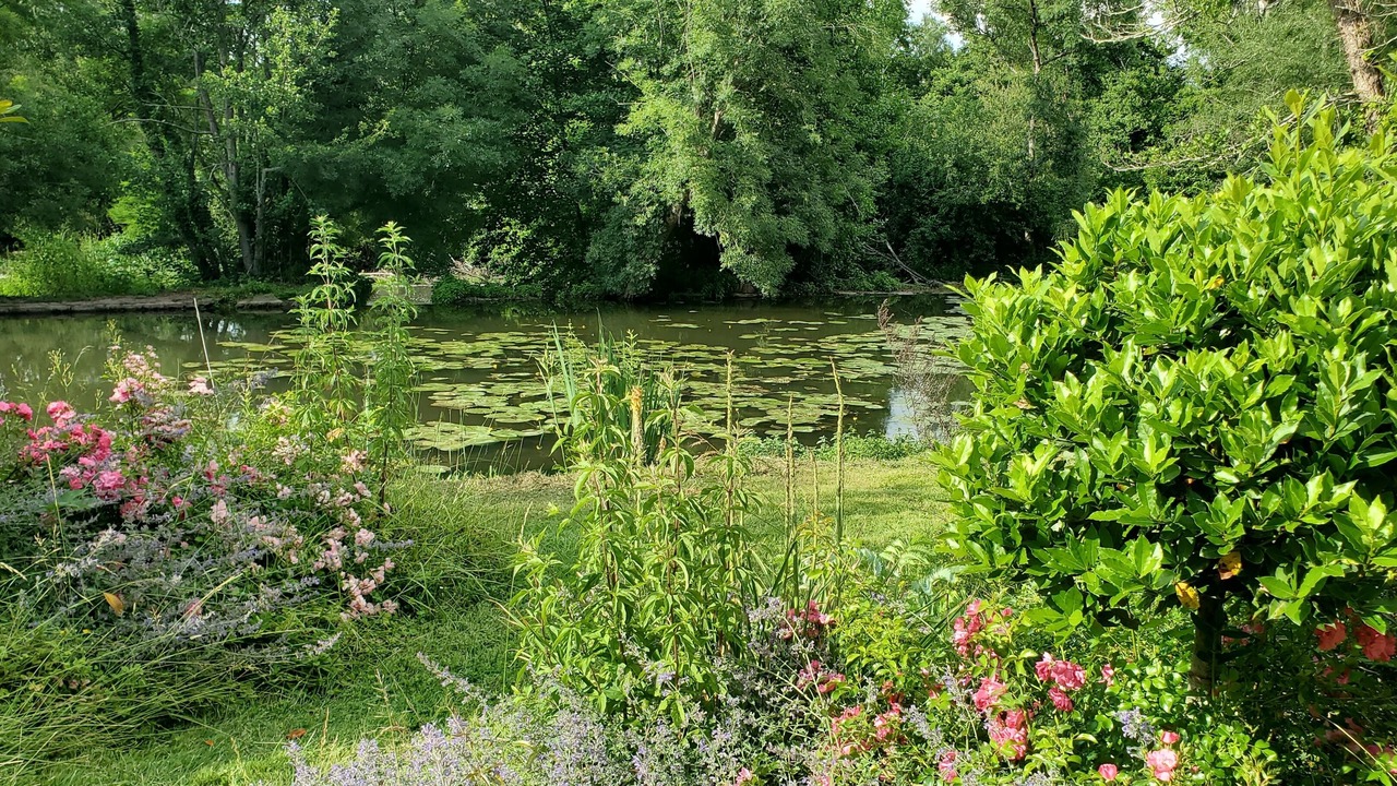Photo of Outdoor in Saint-Meard-de-Drone
