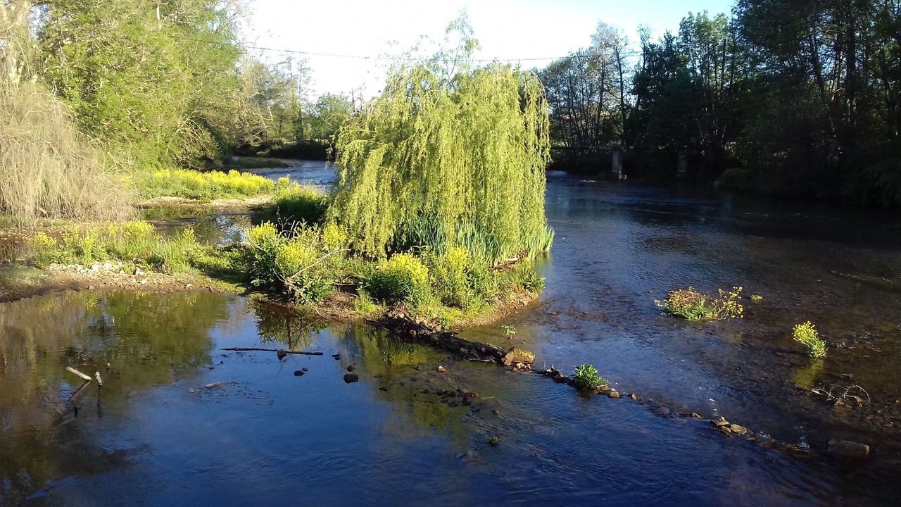 Photo of Outdoor in Saint-Meard-de-Drone