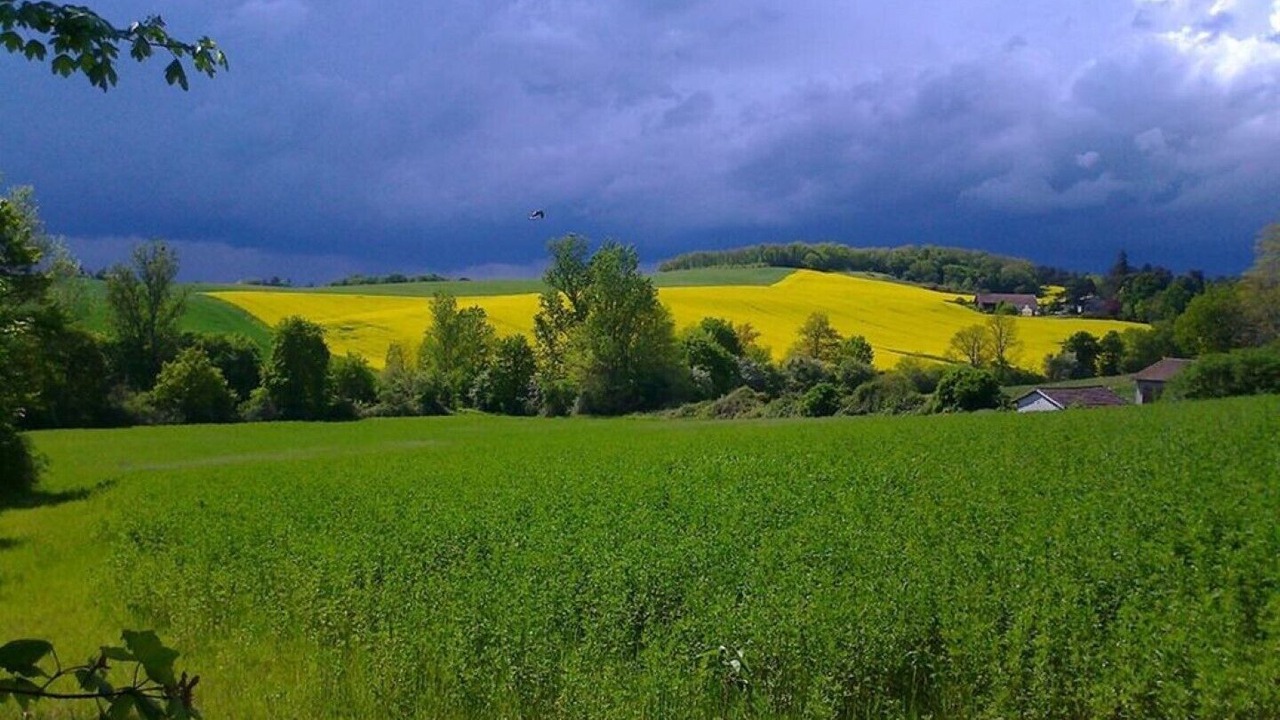 Photo of Others in Verteuil-dAgenais