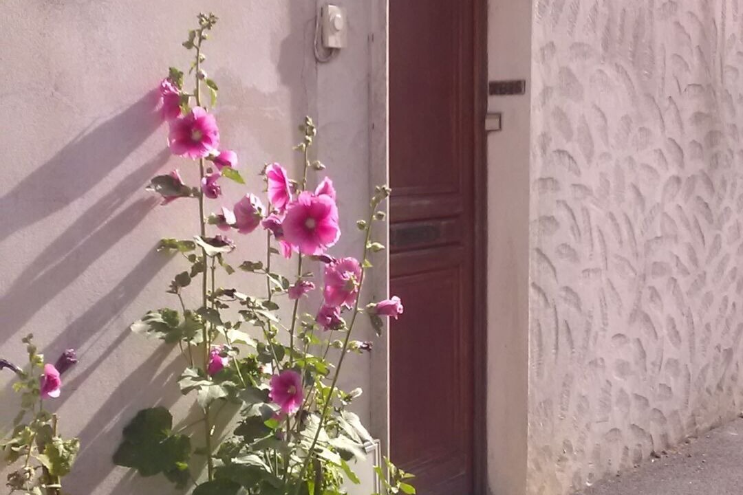Photo of Outdoor in Angoulins