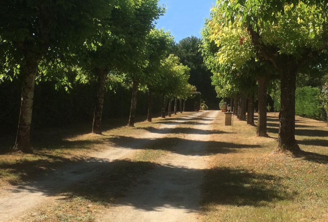 Photo of Outdoor in Jonzac