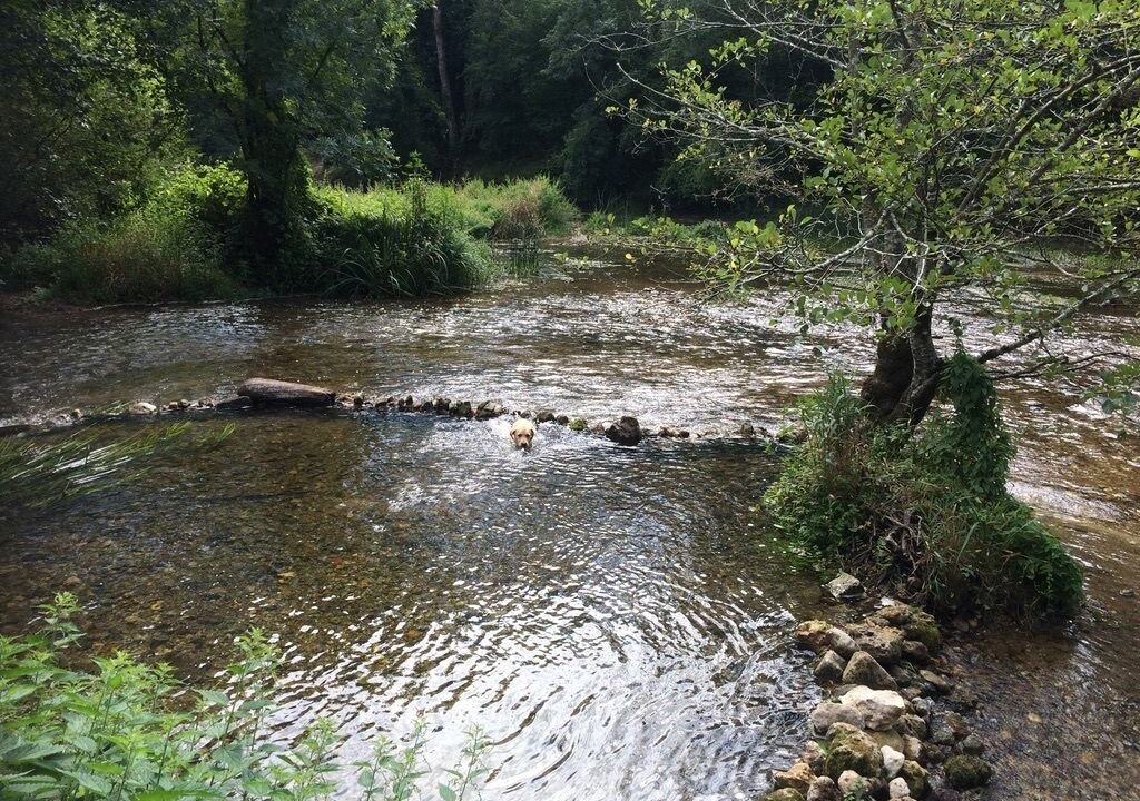 Photo of Others in Verteillac