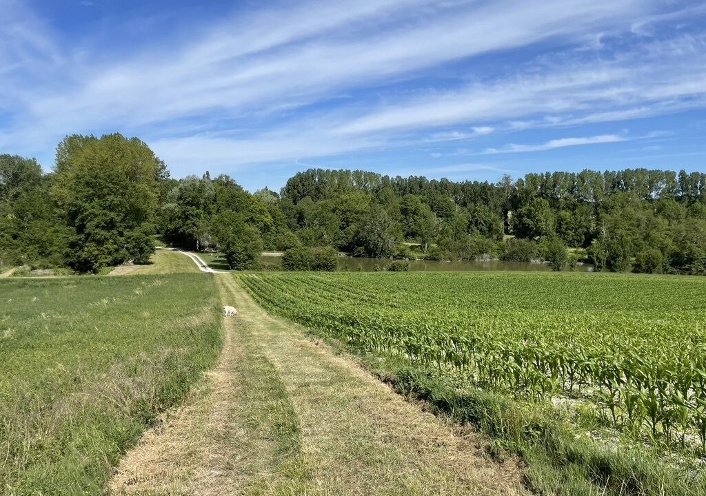 Photo of Outdoor in Verteillac