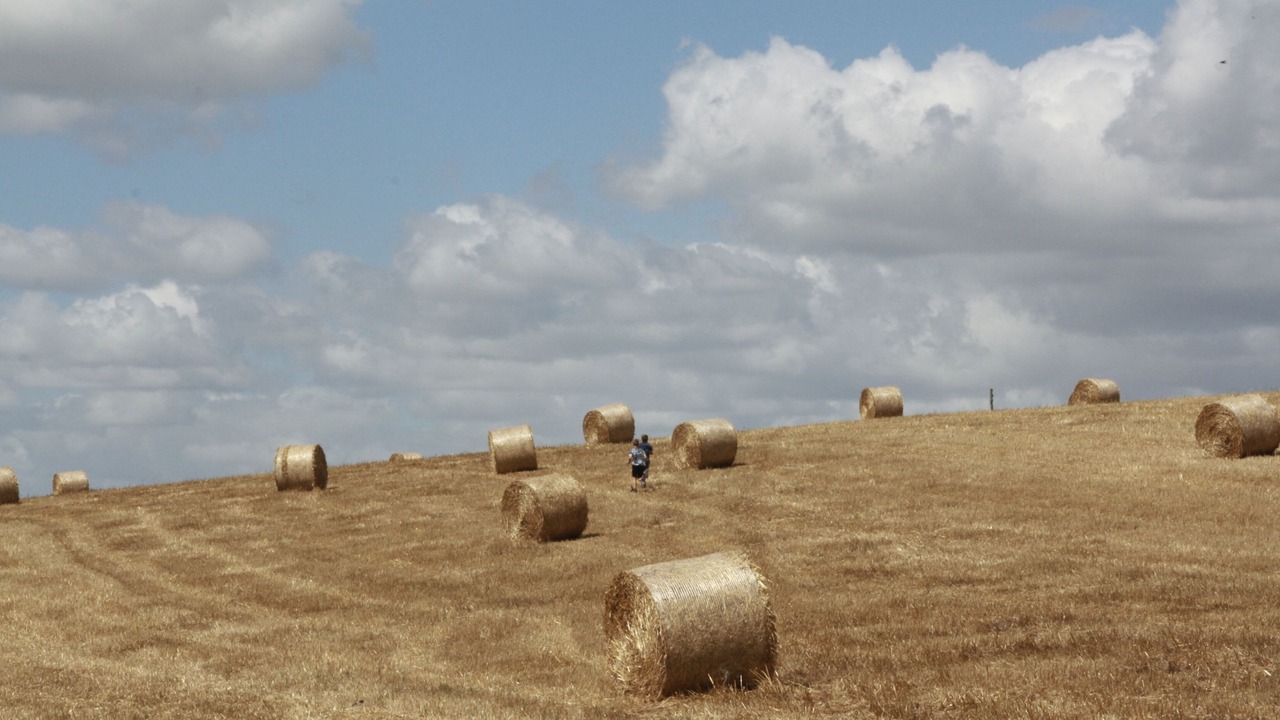 Photo of Others in Verteillac