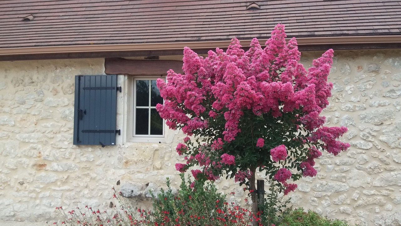 Photo of Outdoor in Saint-Georges-de-Montclard