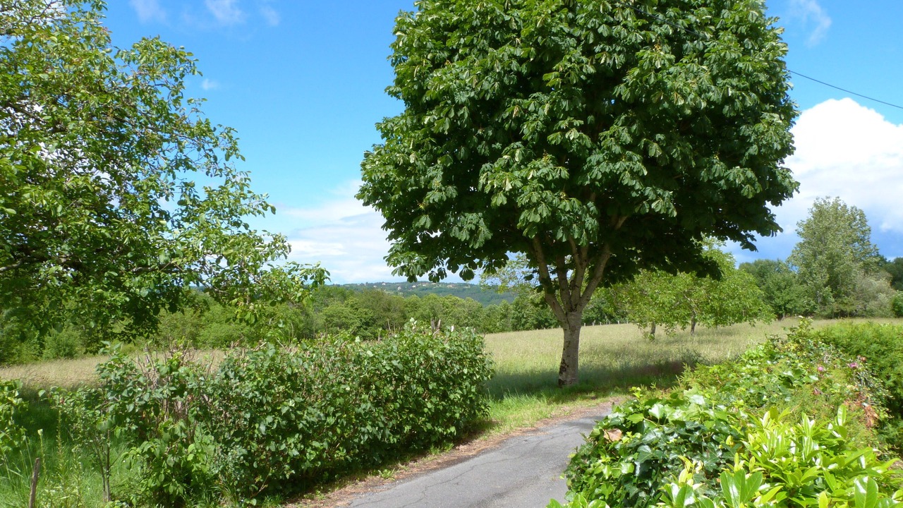 Photo of Outdoor in Fleurac