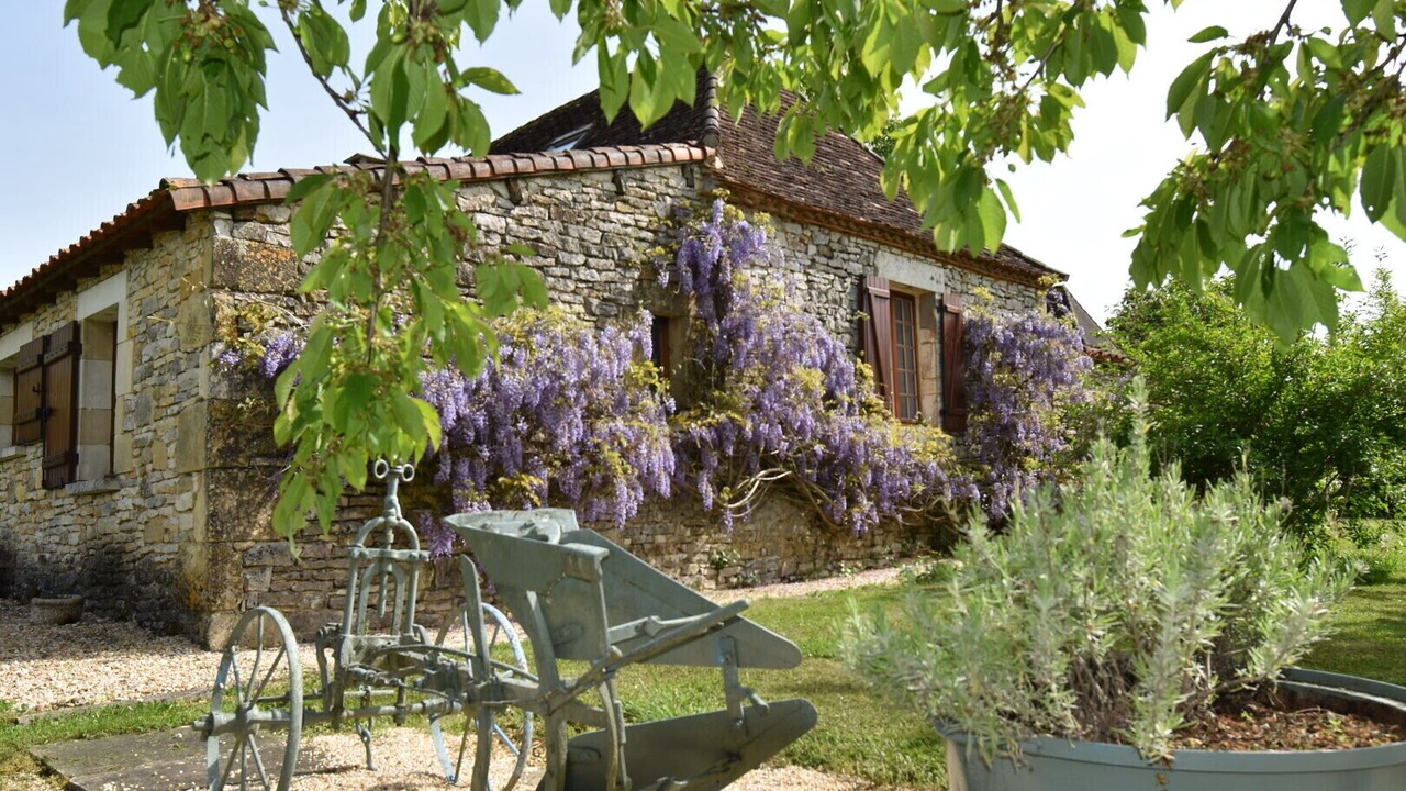 Photo of Outdoor in Saint-Jory-las-Bloux