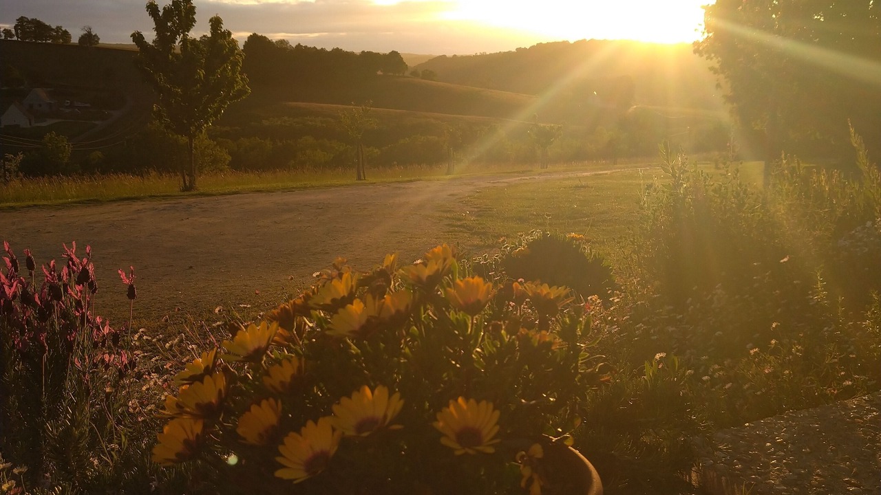 Photo of Outdoor in Marnac