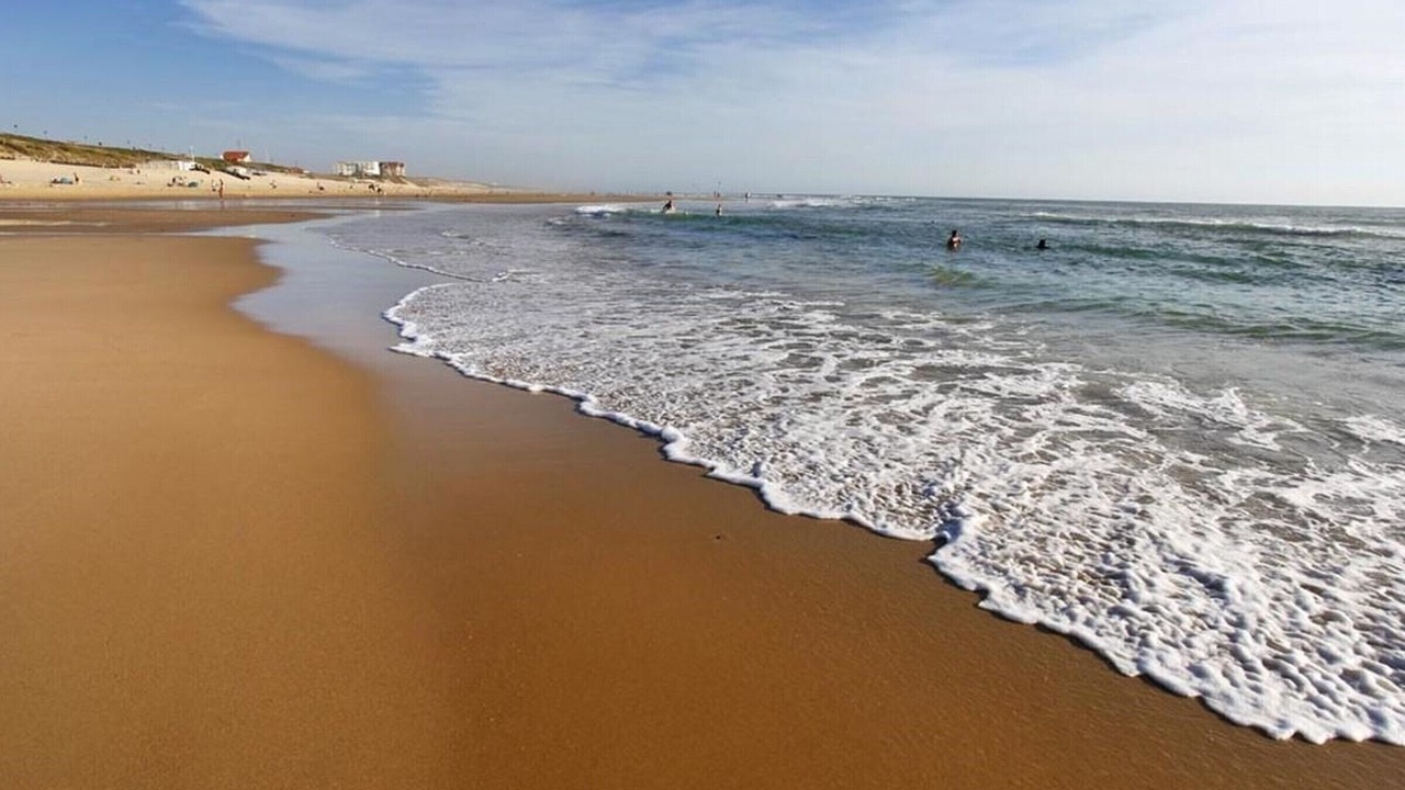 Photo of Others in Biscarrosse Plage