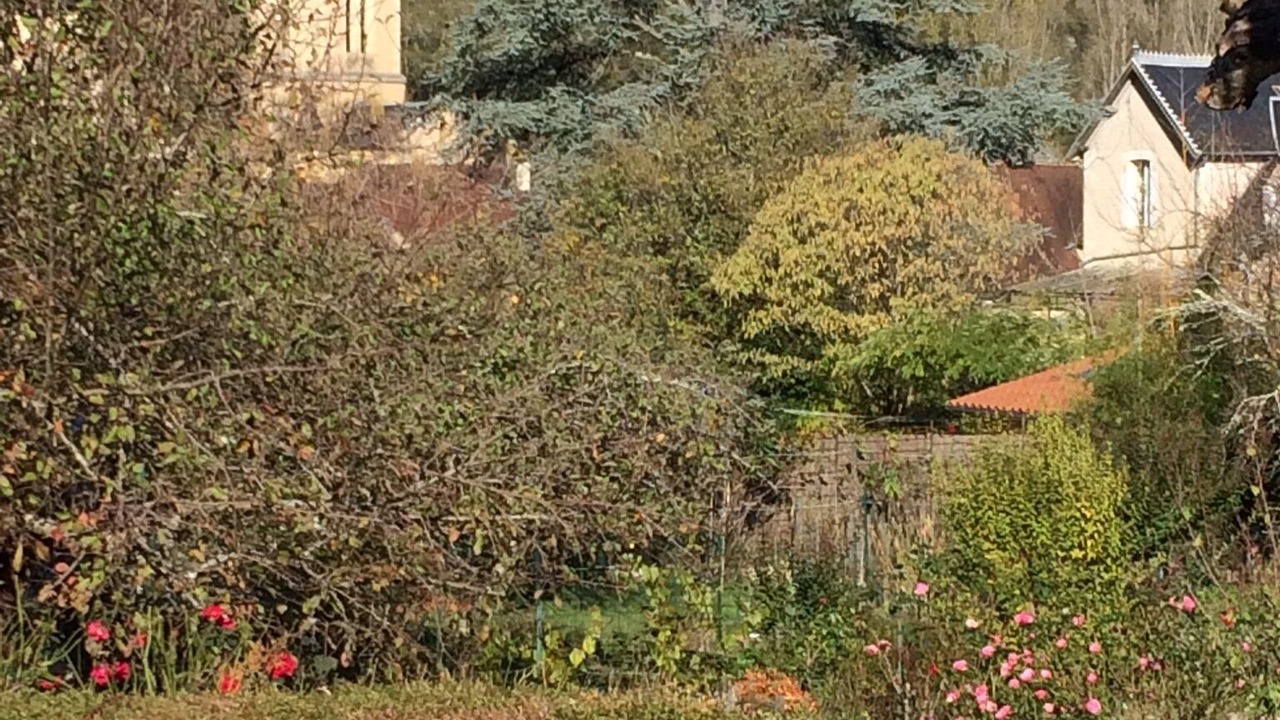 Photo of Outdoor in Daglan
