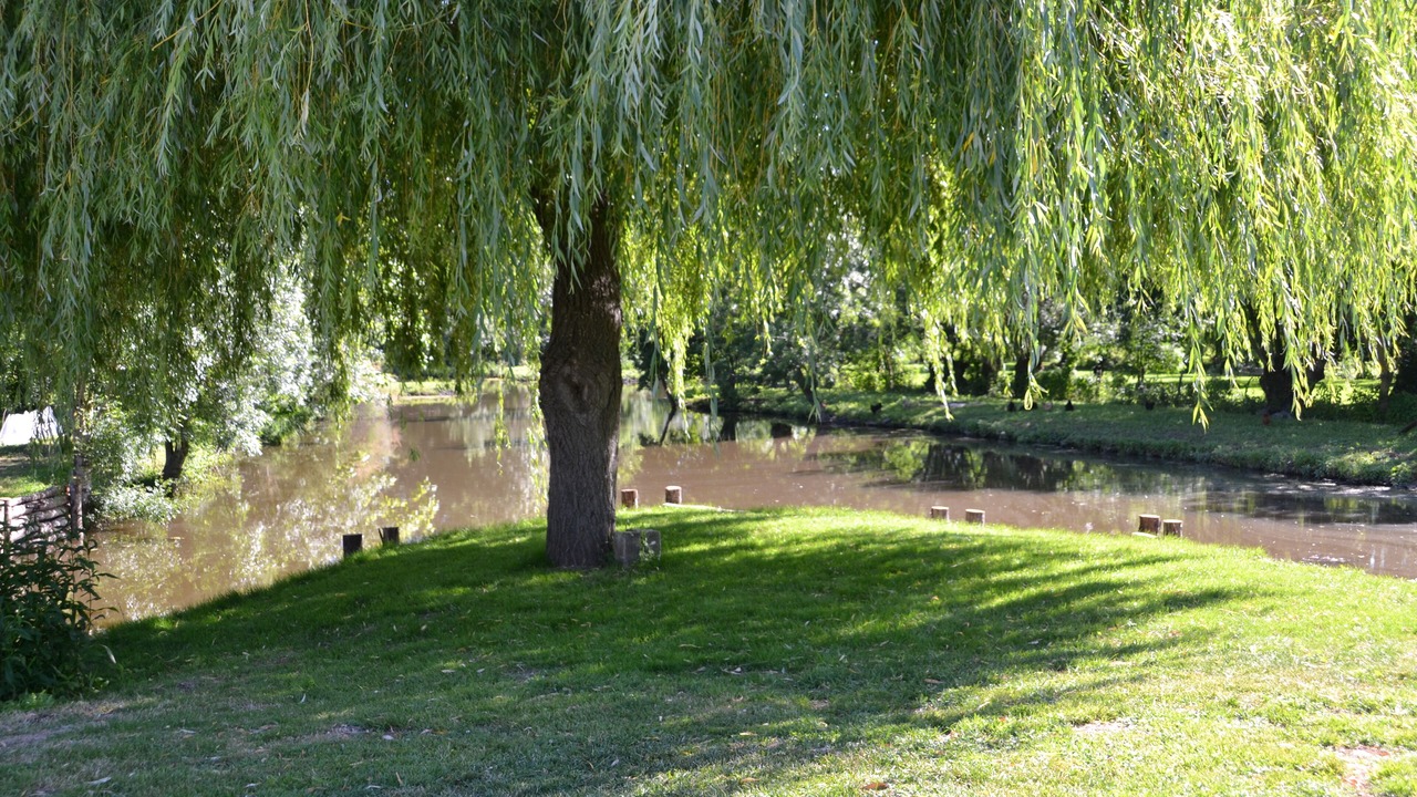Photo of Outdoor in Le Vanneau-Irleau