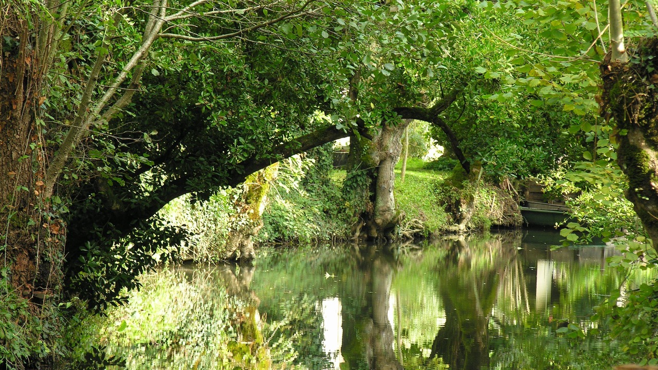 Photo of Outdoor in Le Vanneau-Irleau