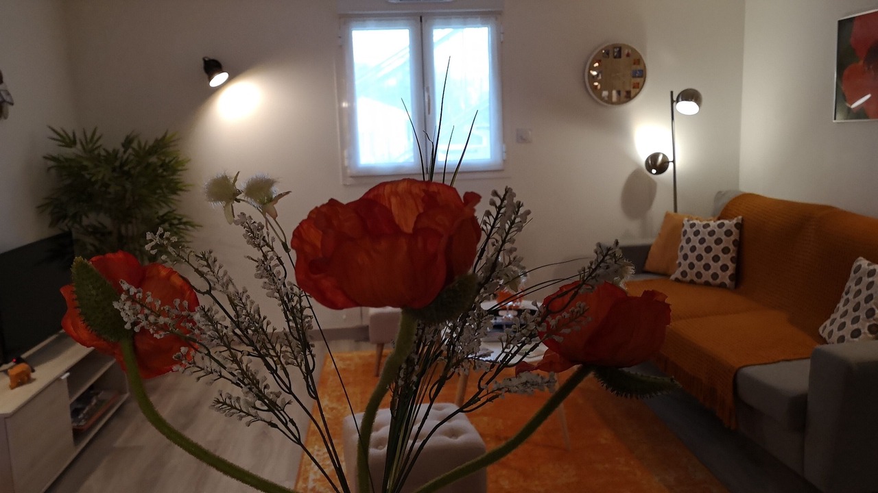 Photo of Livingroom in Jonzac