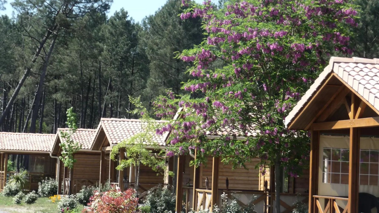 Photo of Outdoor in Saint-Michel-Escalus