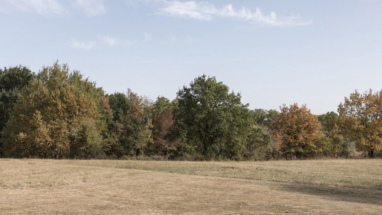 Photo of Outdoor in Saint-Rabier