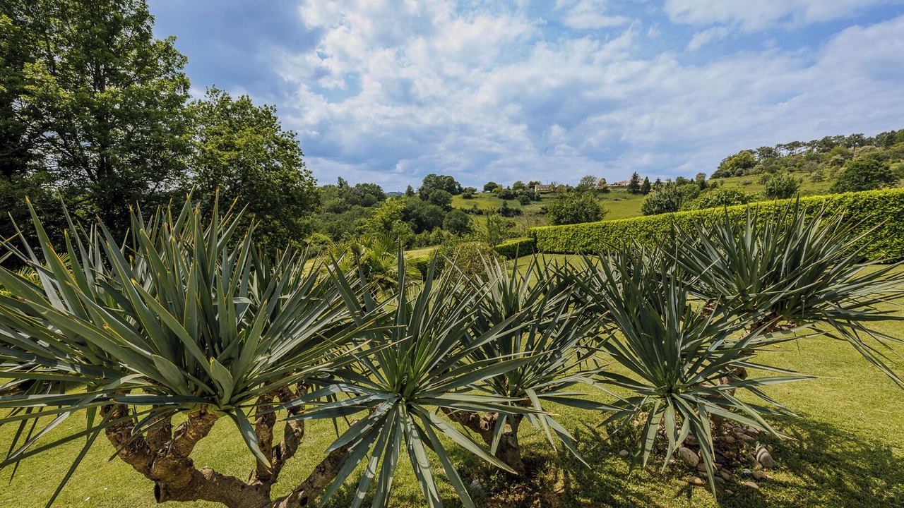 Photo of Outdoor in Beynac-et-Cazenac
