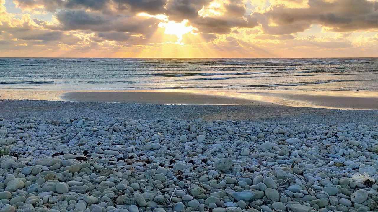Photo of Others in Saint-Denis-d'Oleron