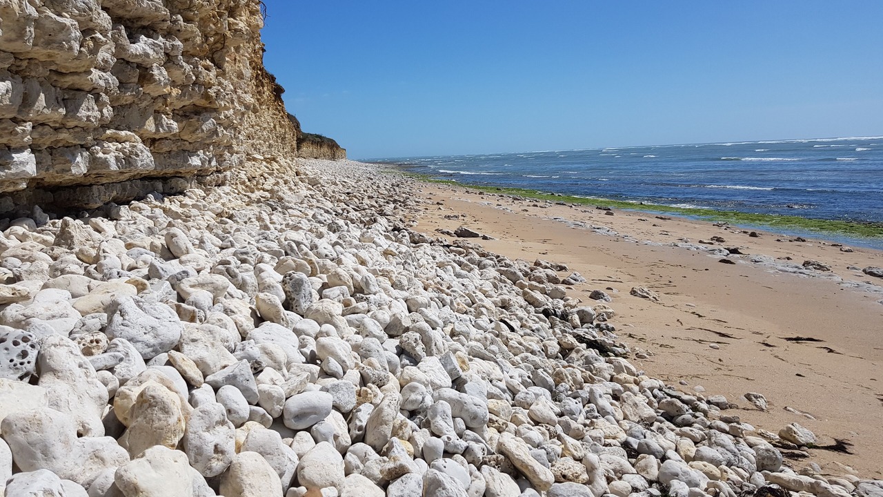 Photo of Others in Saint-Denis-d'Oleron