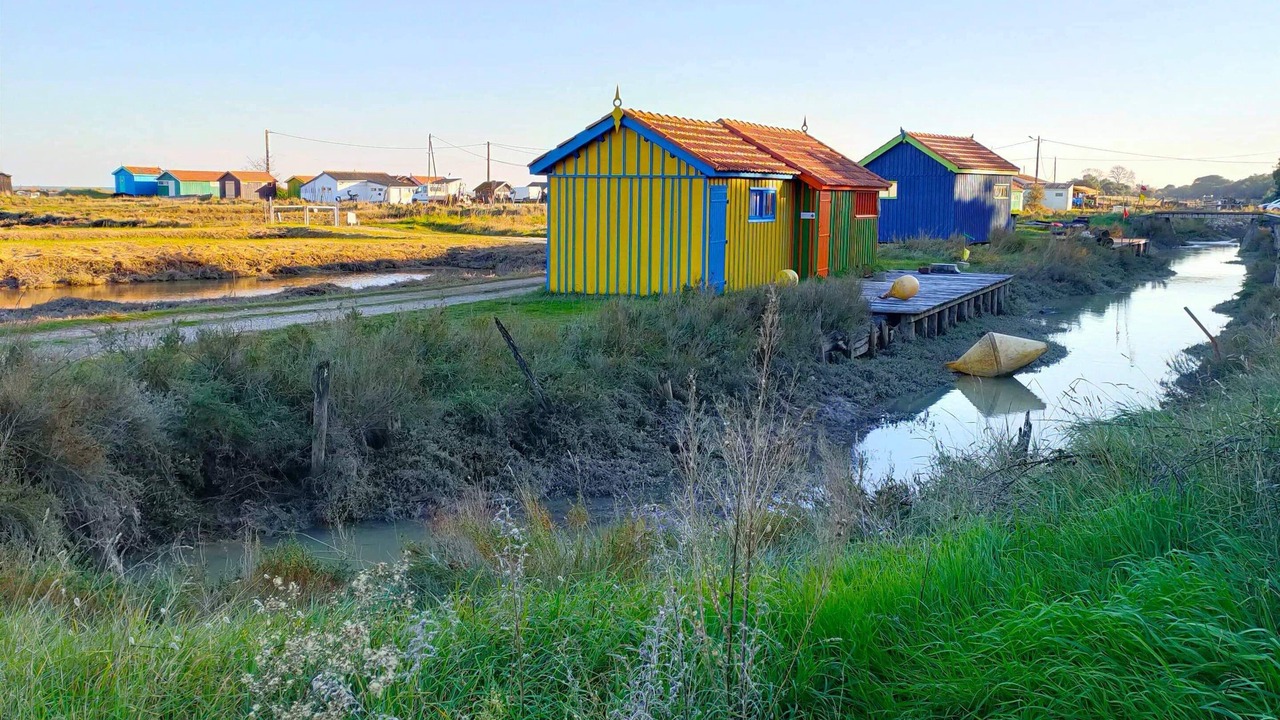 Photo of Outdoor in Saint-Denis-d'Oleron