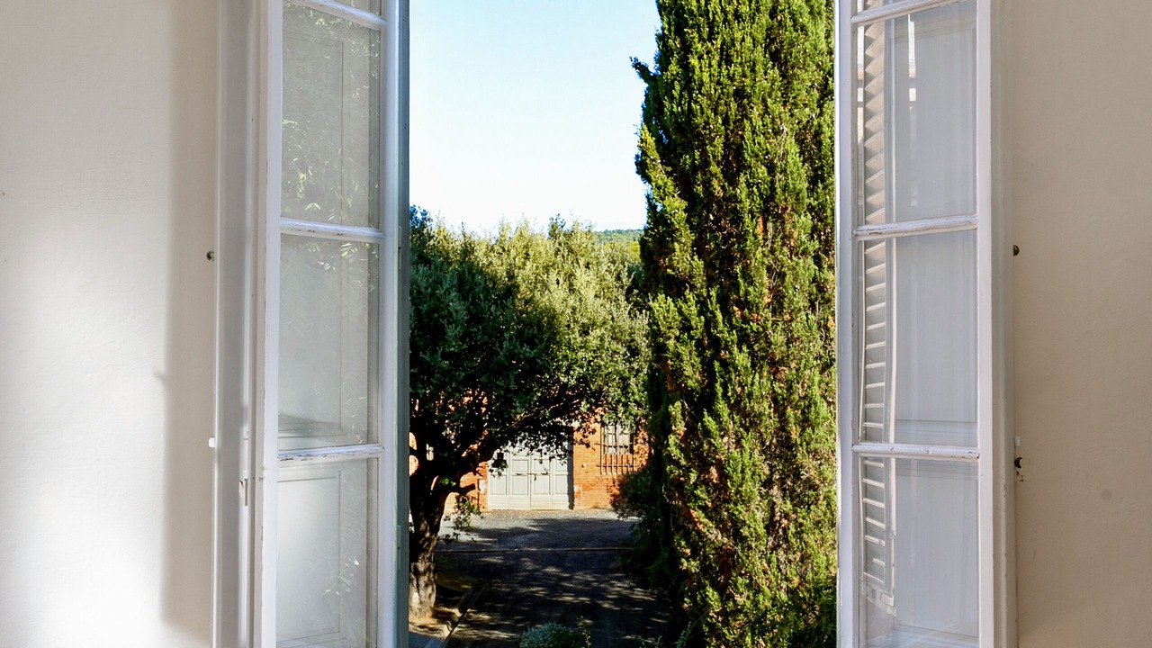 Photo of Others in Castiglioncello