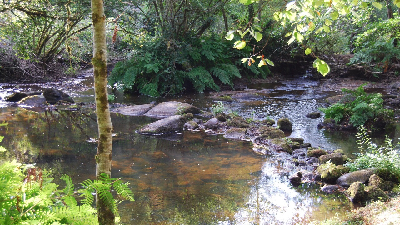 Photo of Outdoor in Saint-Saud-Lacoussiere