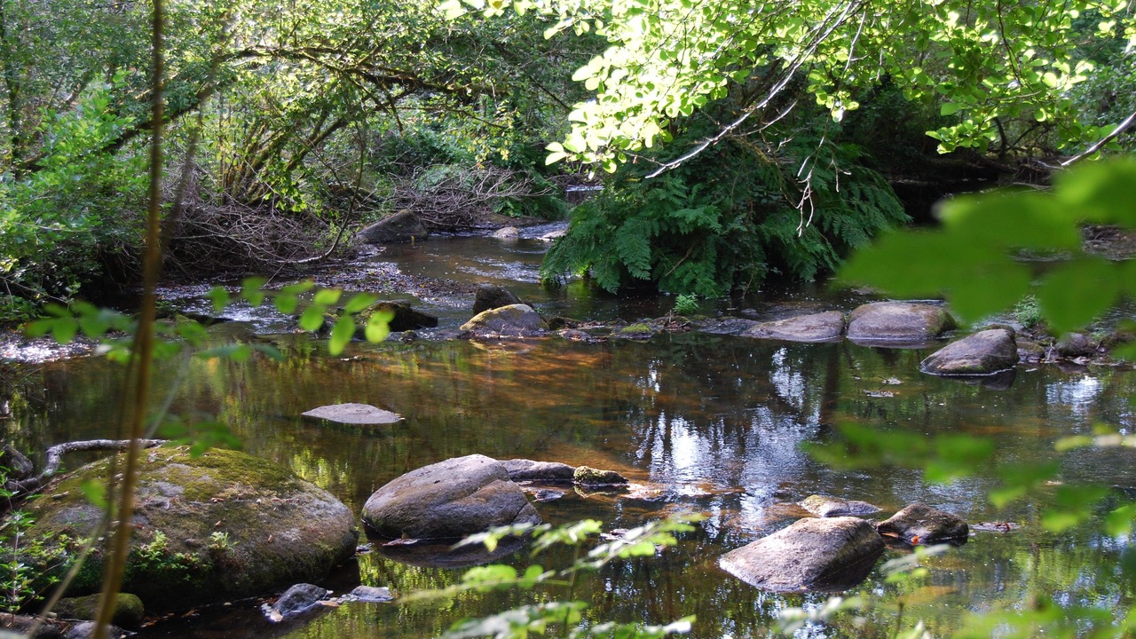 Photo of Outdoor in Saint-Saud-Lacoussiere