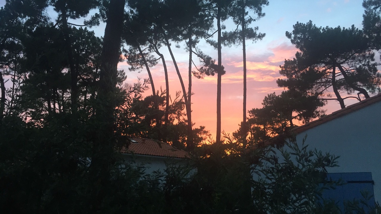 Photo of Outdoor in Ronce-les-Bains
