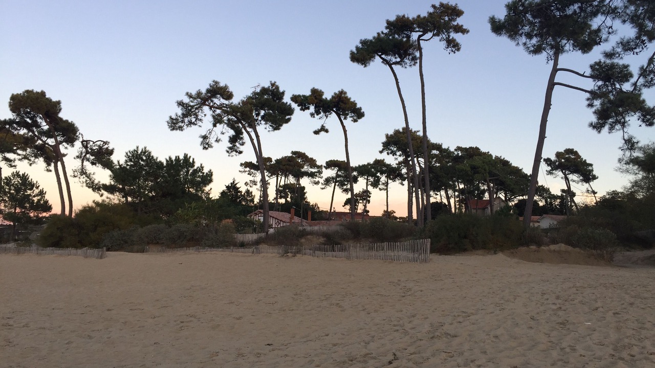 Photo of Others in Ronce-les-Bains